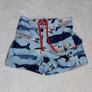 carters 6month baby/Kids Blue Whale Print swim trunks Shorts